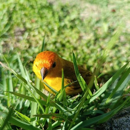 Pousada Toca Dos Coelhos Carrancas Exterior foto