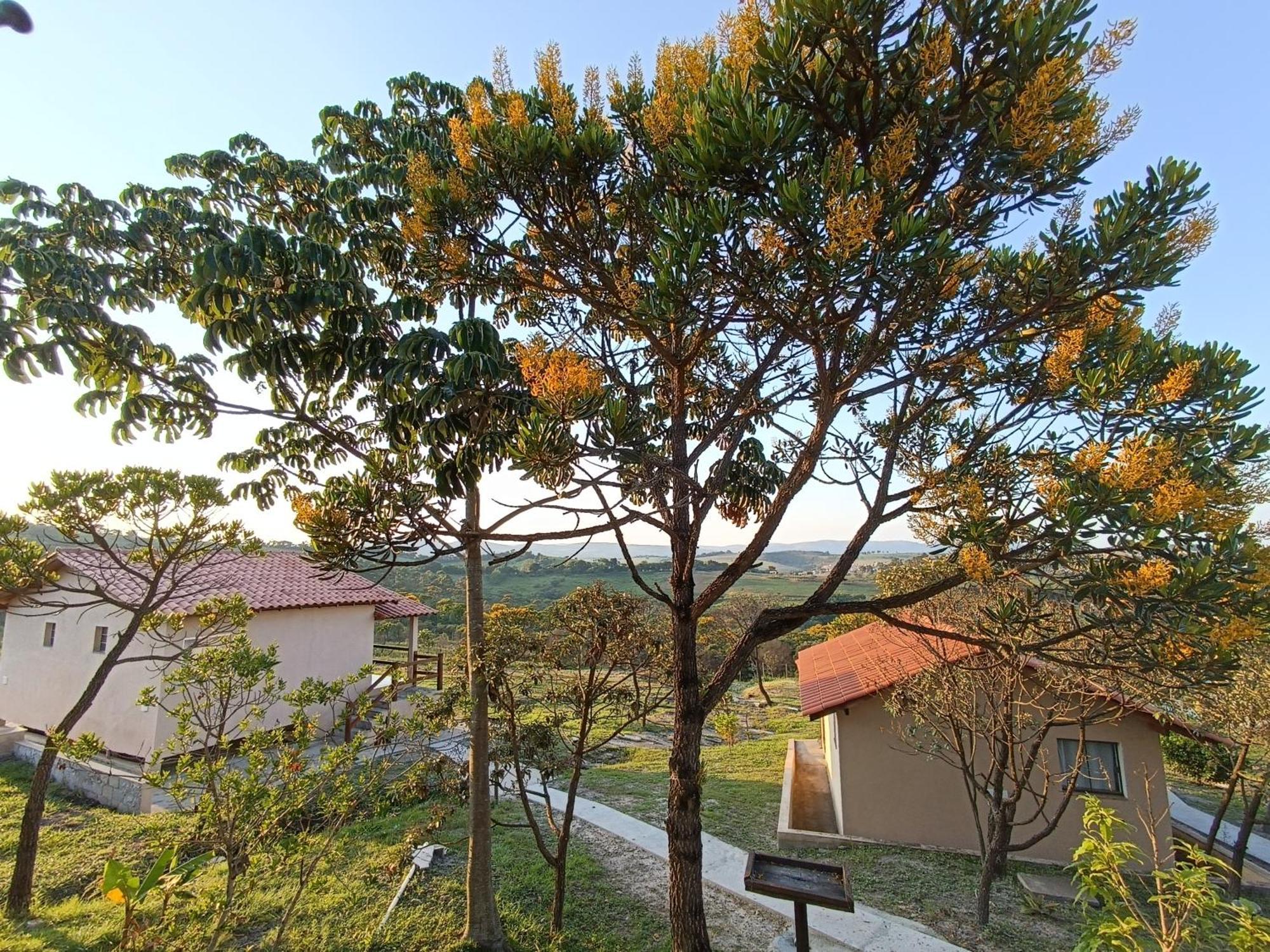 Pousada Toca Dos Coelhos Carrancas Exterior foto